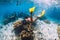 Woman freediver swimming over with yellow fins in ocean. Freediving or snorkeling in Mauritius