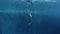 Woman freedivers work out in a sea