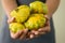 Woman with fresh squashes, closeup