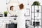 Woman in front of mirror in minimal bathroom interior with poster, chair and plants. Real photo