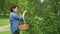 Woman in garden with pruning shears with basket, cutting off faded flowers on lilac bush