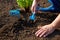 Woman with garden shovel