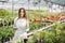 Woman gardener in apron caring potted plant in greenhouse surrounded by plants and pots. Home gardening, love of plants and care.