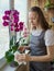 Woman gardener caring for a orchid potted plant. Washing the leaves of phalaenopsis orchids. Home gardening, orchid breeding