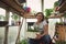 Woman gardener cute smiling posing in front of the camera, in a home country greenhouse and holding a pot of cucumber seedlings in