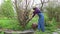 Woman gardener Cuts Off The Branches By Pruner