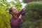 Woman gardener cuts pine using secateurs