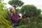 Woman gardener cuts pine using secateurs