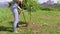 Woman gardener digging the soil in spring with a spade around a little tree, she is wearing gloves and rubber boots