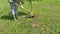 Woman gardener digging the soil in spring with a spade around a little tree, she is wearing gloves and rubber boots