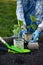 Woman Gardener hands in gardening gloves planting Sprouts in the vegetable garden. Spring garden work concept