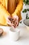 Woman gardener hands putting draining and soil into a new flowerpot