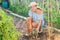 Woman gardener loosens fertile soil with culti-hoe. Agriculture, cultivate, eco organic products