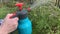 Woman gardener spraying fruit trees and bushes against plant diseases and pests using spray bottle withinsecticide