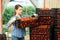 Woman gardener stacking boxes with tomatoes in greenhouse