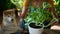 Woman gardener takes care of houseplant and transplants it at house room with dog spbd.