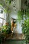 Woman gardener touching lush asparagus fern , standing on stepladder, talking on the phone.Love of plants. Indoor garden