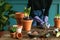 Woman gardener transplanting plants in ceramic pots on an old wooden table during the spring time.