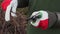 Woman gardener using scissors close up