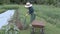 Woman gardener using spade shovel near wheelbarrow