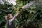 Woman gardener work in indoor garden greenhouse spaying ficus elastica tree with water sprayer