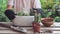 Woman gardeners hand transplanting cacti and succulentson the wooden table