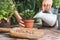 Woman gardeners watering jade plant in plastic pots on wooden table. Concept of home garden. Spring time. Taking care of home