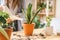 Woman gardeners watering plant