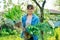 Woman in gardening gloves holding bush of hosta sedum daffodils plant with roots for dividing planting