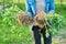 Woman in gardening gloves with shovel holding sedum plant with roots