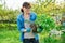 Woman in gardening gloves with shovel holding sedum plant with roots