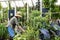 Woman gardening hobby greenhouse garden