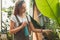 Woman gardening and profession concept -gardener with sprayer in greenhouse