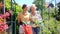 Woman gardening together in summer