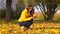 Woman gather bright maple leaves in yellow bunch