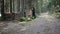 Woman gathering chopped woods