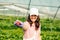 woman gathering strawberries at the farm