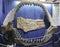 A Woman Gazes at Carcharodon Megalodon Jaws