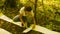 Woman getting sampels of the soil in the forest.