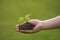 Woman girl female`s hand with a layer of earth, muddy soil with green plants in it, hope health concept, over grass meadow field