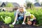 Woman and girl, mother and daughter, gardening