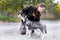 Woman gives a command to her dog puppy Siberian Husky in the autumn park. Dog training and obedience