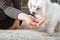 Woman gives food to her dog