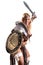 Woman gladiator/Ancient warrior