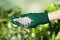Woman in glove pouring fertilizer on blurred background. Gardening time