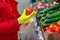 A woman in gloves chooses tomatoes in a store