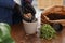 Woman in gloves filling flowerpot with drainage at wooden table, closeup. Transplanting houseplants