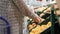 Woman in gloves picks fruits oranges in basket in supermarket. Medium shot