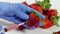 Woman with gloves uses a syringe. Genetic modification of fruits and vegetables