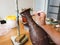 Woman gluing tiny shaped cloisonne wires to a copper vase creating a intricately constructed pattern for a enamel cloisonne